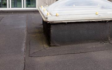 disadvantages of Saleby flat roofs