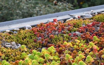 the cost of Saleby green roof installation