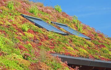 Saleby living roof systems